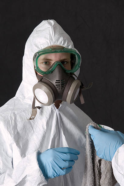 Best Black Mold Removal  in North Edwards, CA